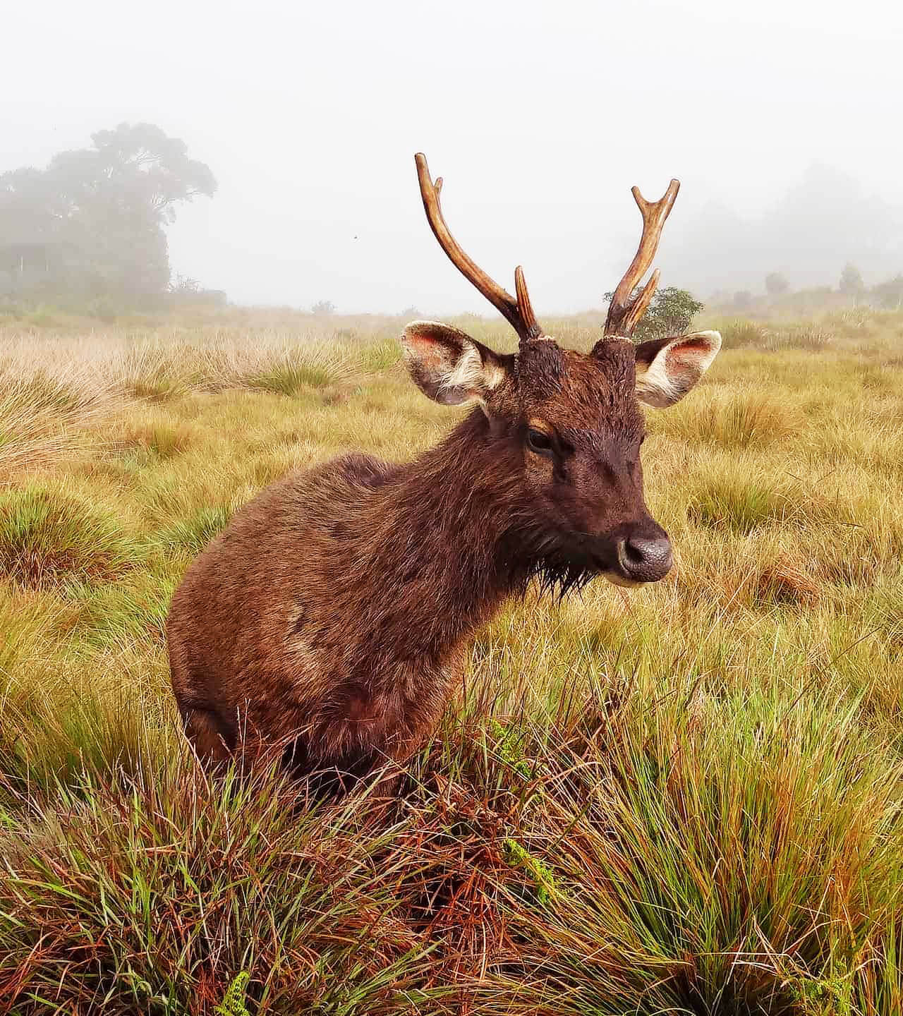 Horton Plains National Park