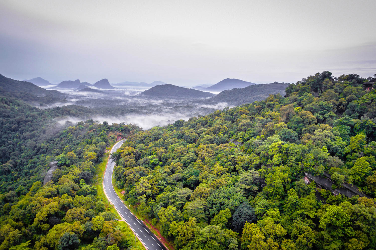 hill country Sri lanka