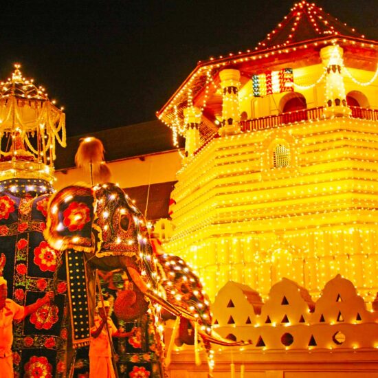 Kandy perahera 2024