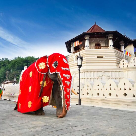 temple sacred tooth relic kandy sri lanka