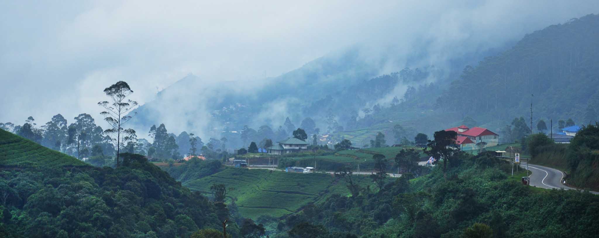 Nuwara eliya